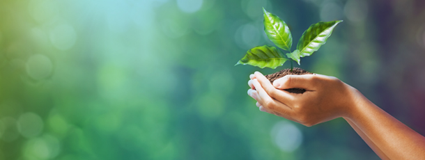 sustainability-1-610x230